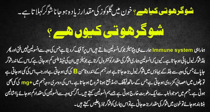 Safoof E Shifa